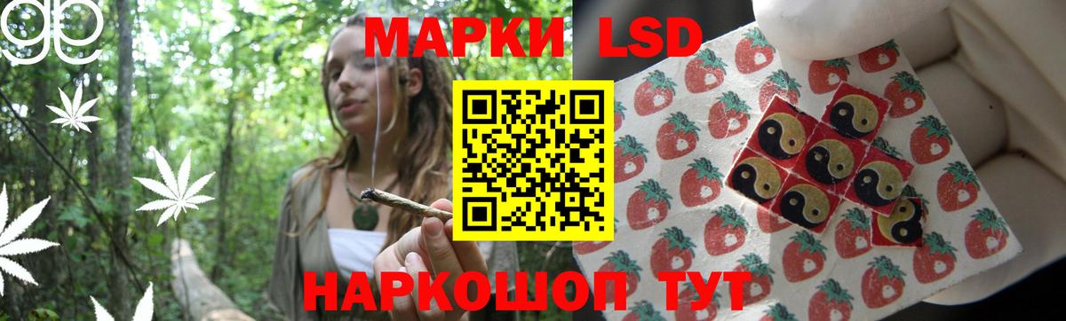 Лсд 25 экстази кислота  Вход с VPN  Лсд 25 экстази кислота  Нововоронеж 